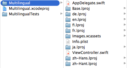 Multilingual project